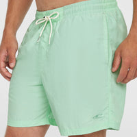 O'Neill Vert 16'' Badehose | Mildrew Mint