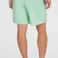 O'Neill Vert 16'' Badehose | Mildrew Mint