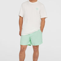 O'Neill Vert 16'' Badehose | Mildrew Mint