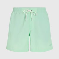 O'Neill Vert 16'' Badehose | Mildrew Mint