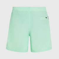 O'Neill Vert 16'' Badehose | Mildrew Mint