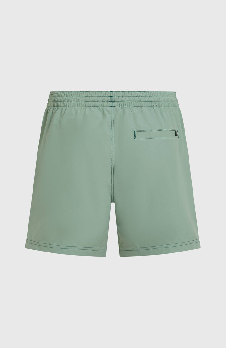 O'Neill Block 15'' Badehose | Blue Bricks