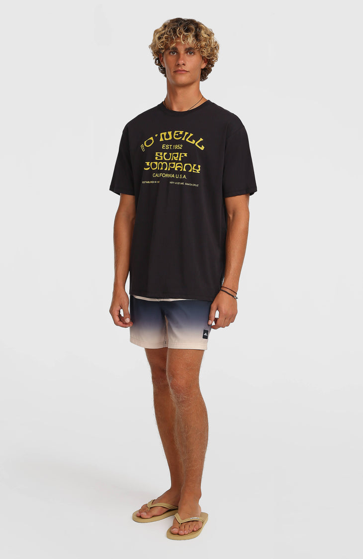O'Neill Gradient 15'' Badehose | Black Out Gradient Stripe