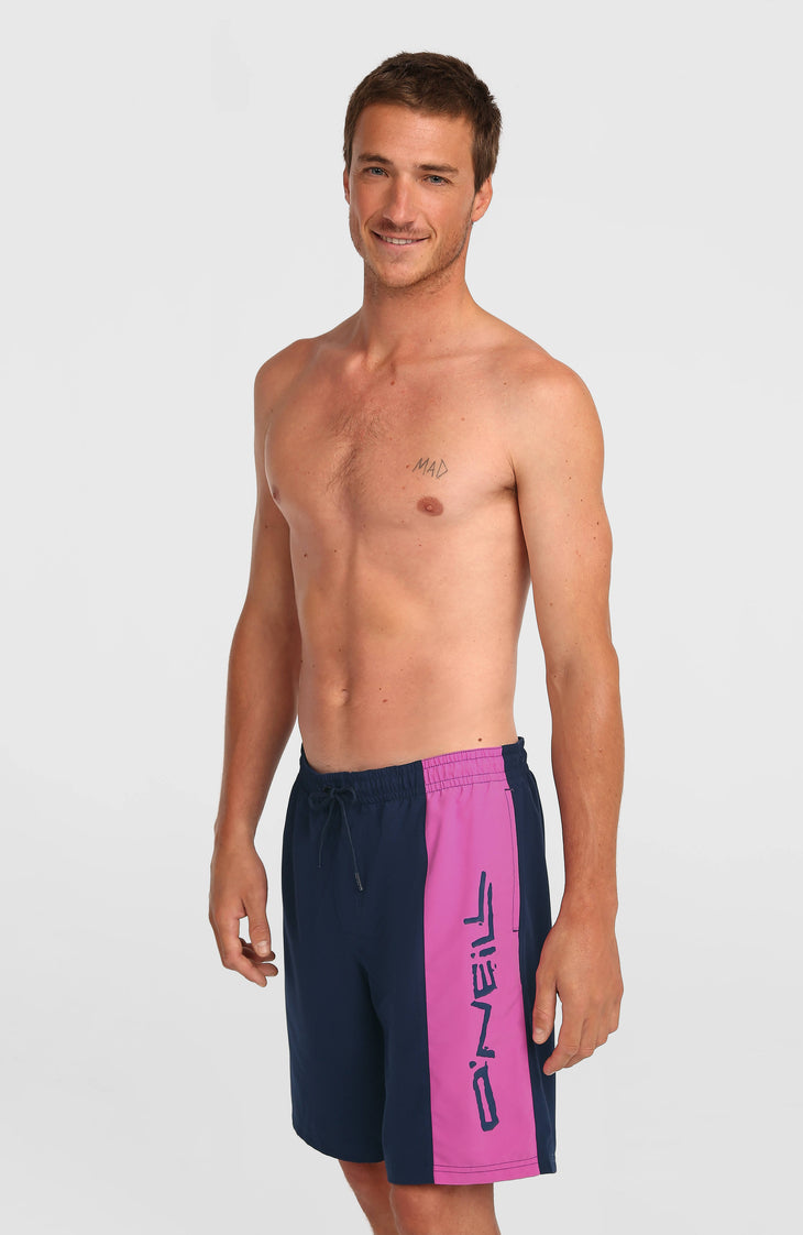 O'Neill Retro 19'' Badehose | English Evening Colour Block