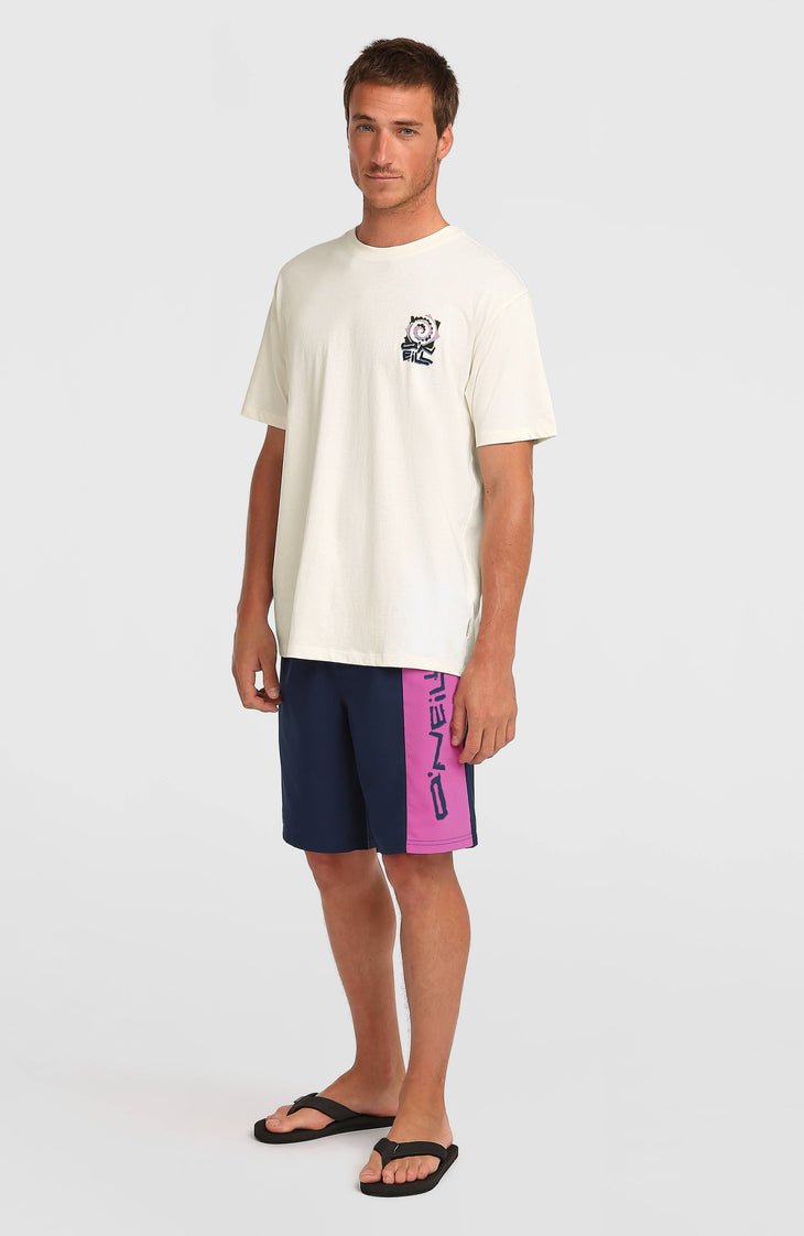 O'Neill Retro 19'' Badehose | English Evening Colour Block