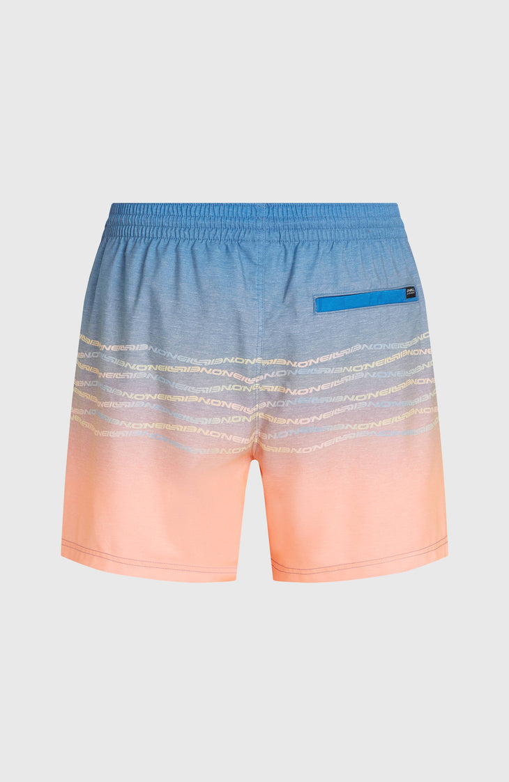 O'Neill First 15'' Badehose | Blue Heritage O'Neill Flip