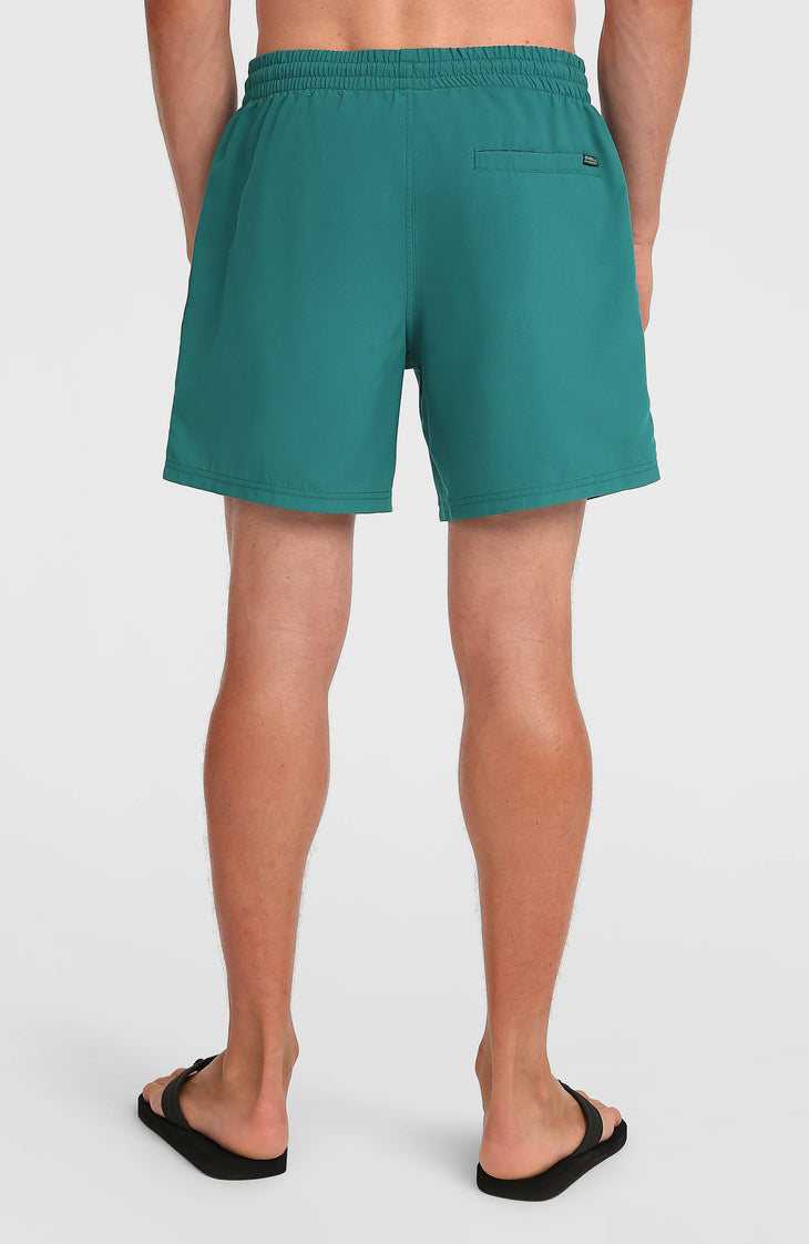 O'Neill Logo 16'' Badehose | Botanical Heat