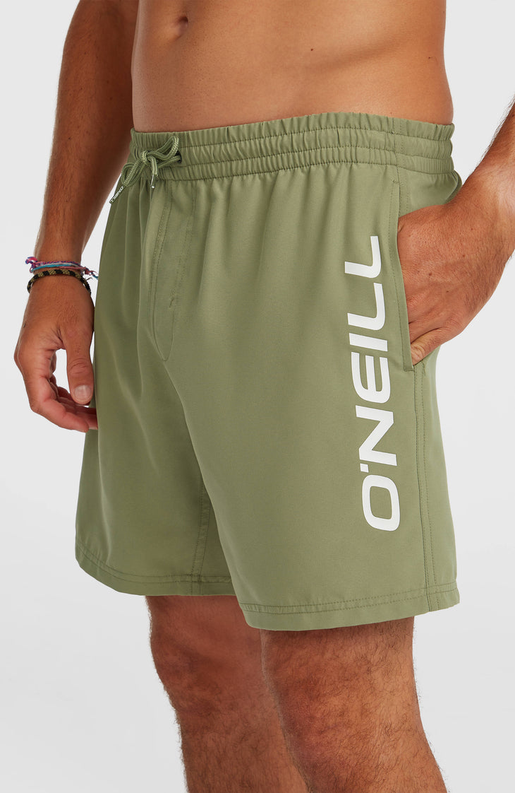 O'Neill Logo 16'' Badehose | Avery Fern