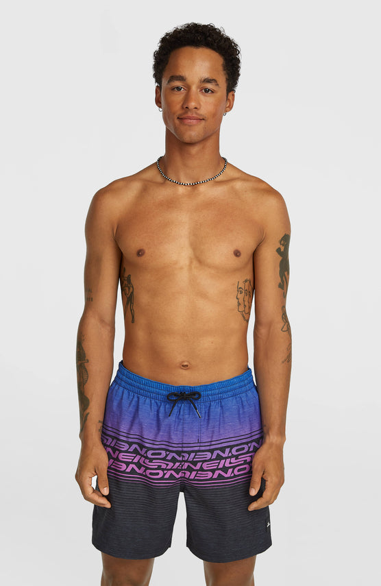 Logo Stipe 16'' Badehose | Blue Heritage O'Neill Stripe