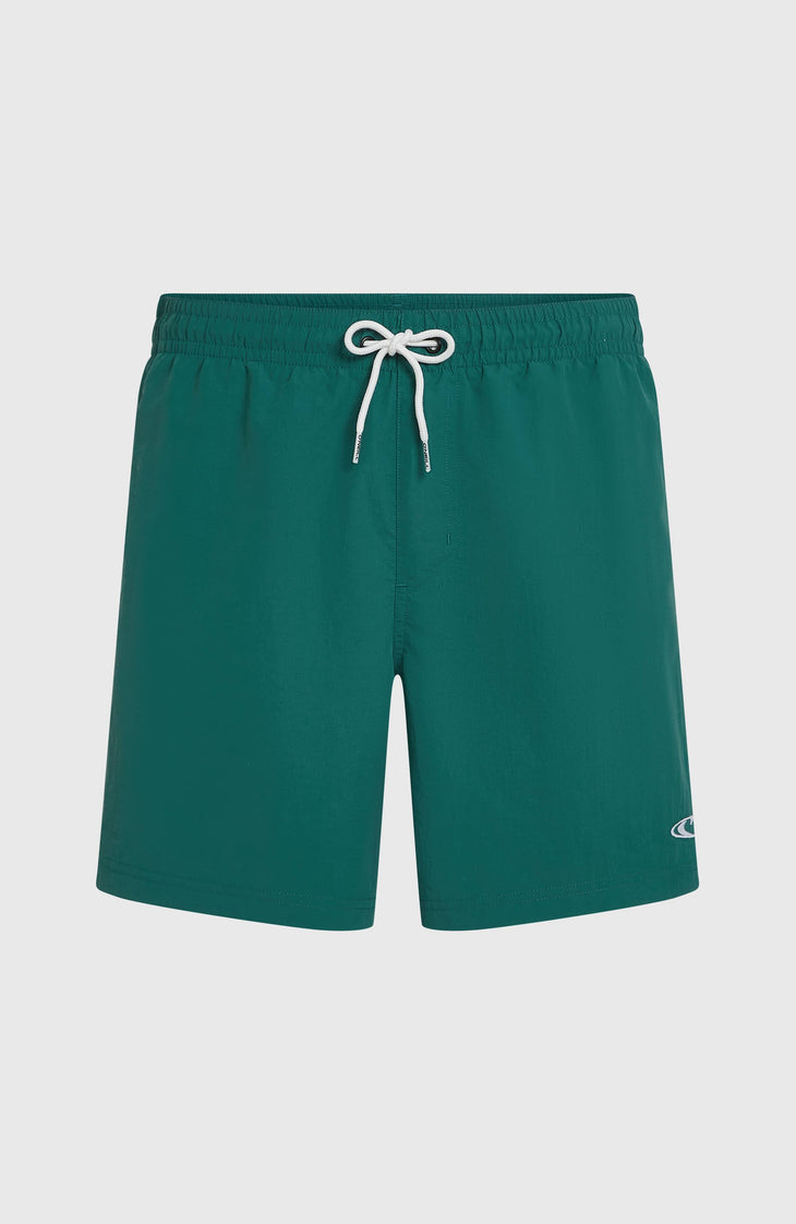 O'Neill Vert 16'' Badehose | Botanical Heat