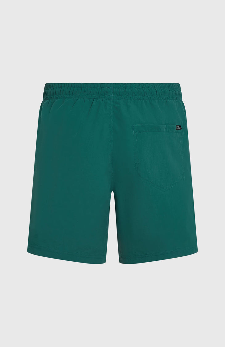 O'Neill Vert 16'' Badehose | Botanical Heat