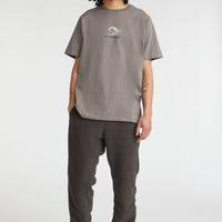 Dipsea T-Shirt | Flint Stone