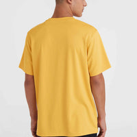 O'Neill Hybrid Logo Polygiene T-Shirt | Golden Haze