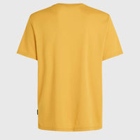 O'Neill Hybrid Logo Polygiene T-Shirt | Golden Haze