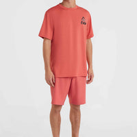 O'Neill Hybrid Logo Polygiene T-Shirt | Red Orcher