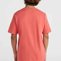 O'Neill TRVLR Series Pacific Polygiene T-Shirt | Red Orcher