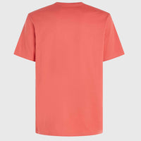 O'Neill TRVLR Series Pacific Polygiene T-Shirt | Red Orcher