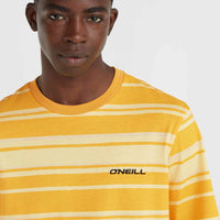 Mix and Match Stripe T-Shirt | Yellow Bold Stripes