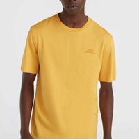 O'Neill Small Logo T-Shirt | Golden Haze