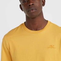 O'Neill Small Logo T-Shirt | Golden Haze