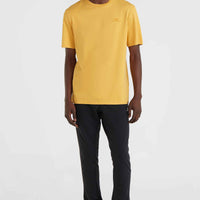 O'Neill Small Logo T-Shirt | Golden Haze