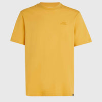 O'Neill Small Logo T-Shirt | Golden Haze