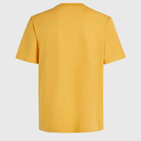 O'Neill Small Logo T-Shirt | Golden Haze