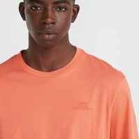 O'Neill Small Logo T-Shirt | Living Coral