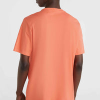 O'Neill Small Logo T-Shirt | Living Coral