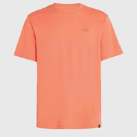 O'Neill Small Logo T-Shirt | Living Coral