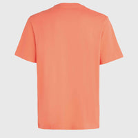 O'Neill Small Logo T-Shirt | Living Coral