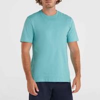 O'Neill Small Logo T-Shirt | Ripling Shores