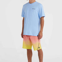 O'Neill Beach Graphic T-Shirt | Melody Blue