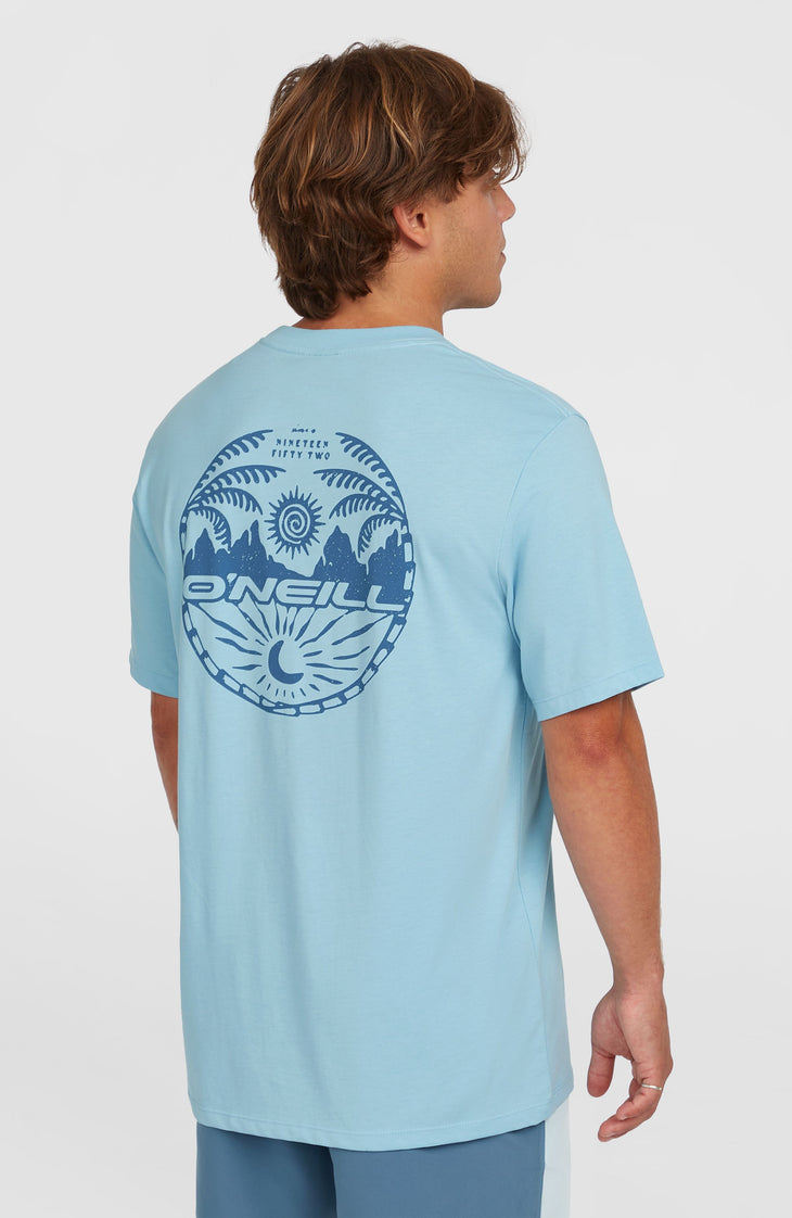 Back Print T-Shirt | Morning Glory Melange