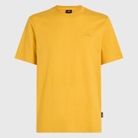 Small Logo T-Shirt | Golden Haze