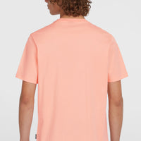 Small Logo T-Shirt | Coral Pop