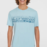 Stripe T-Shirt | Morning Glory
