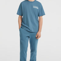 Future Surf Society T-Shirt | Mozart Blue