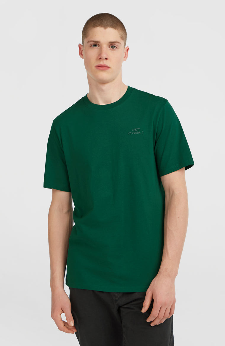 Small Logo T-Shirt | Emerald Envy