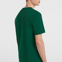 Small Logo T-Shirt | Emerald Envy