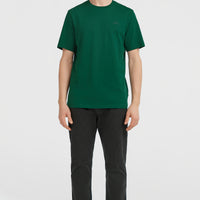 Small Logo T-Shirt | Emerald Envy