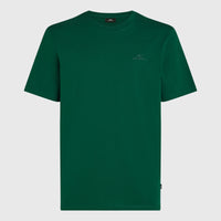Small Logo T-Shirt | Emerald Envy