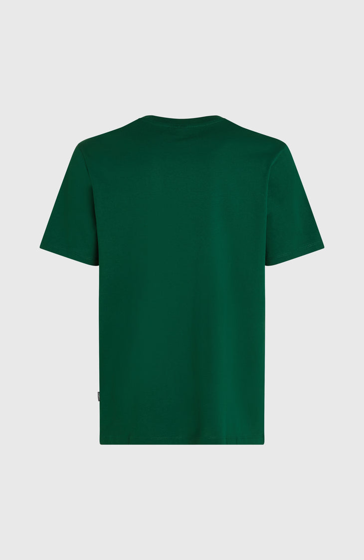 Small Logo T-Shirt | Emerald Envy