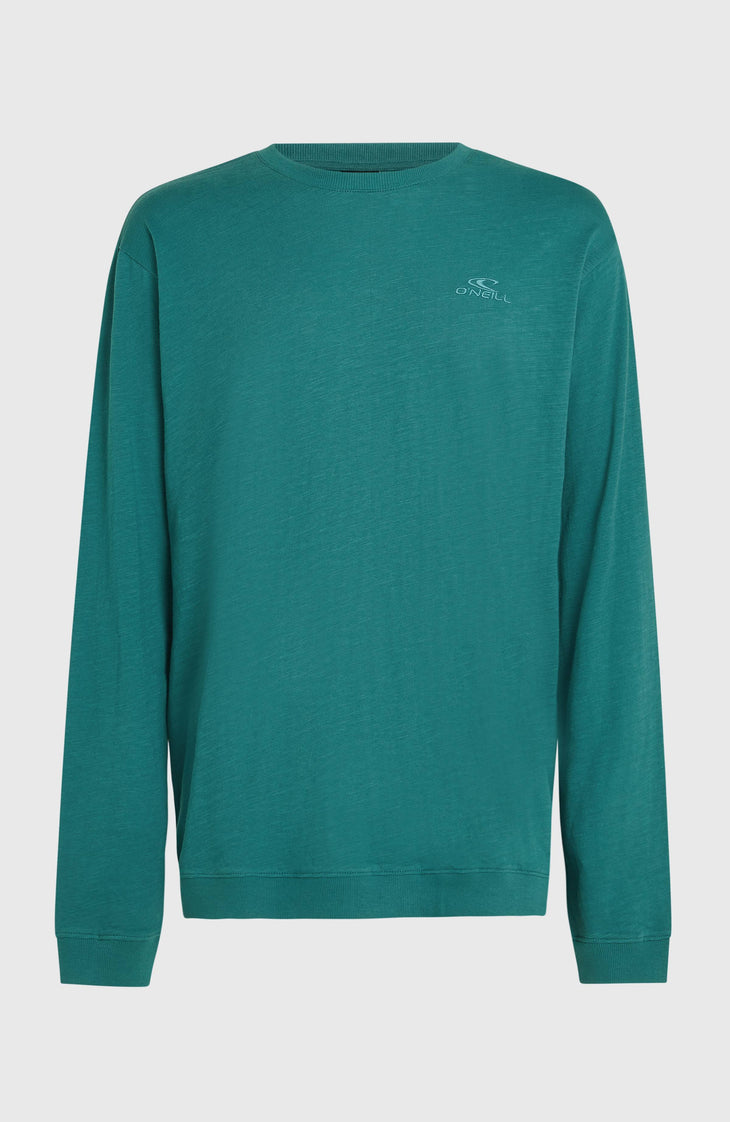 O'Neill Slub Langarmshirt | Botanical Heat