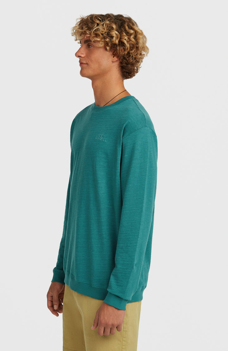 O'Neill Slub Langarmshirt | Botanical Heat