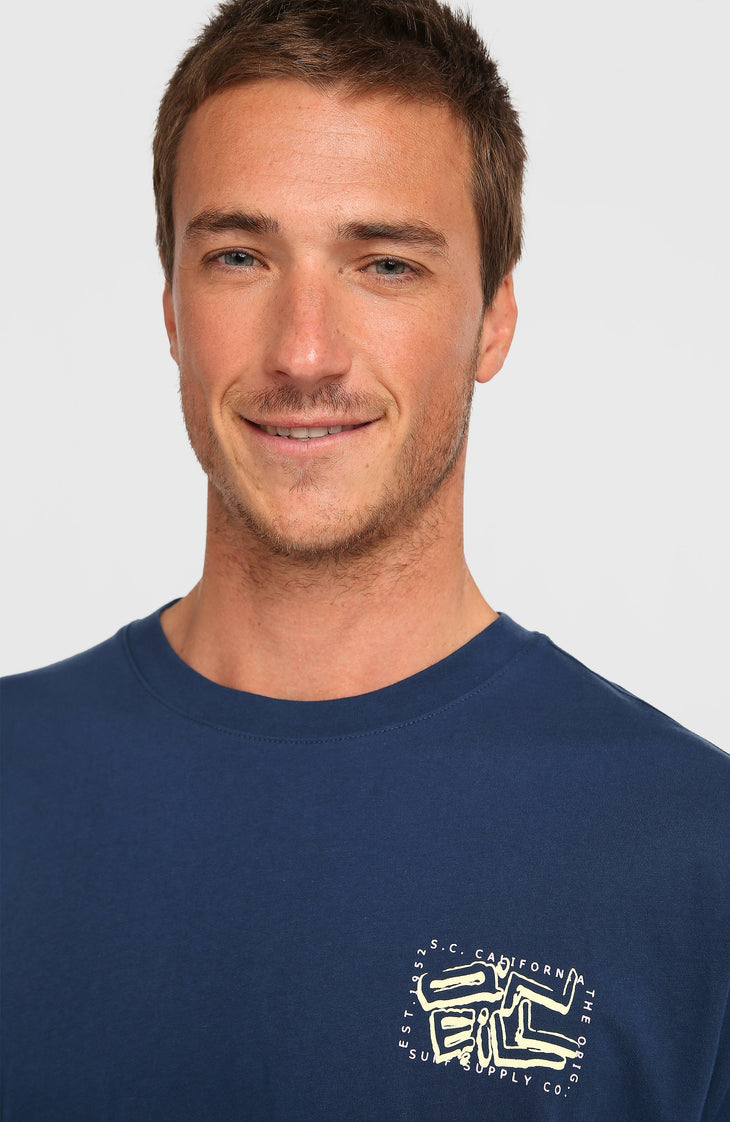 O'Neill Photo Back Print T-Shirt | English Evening