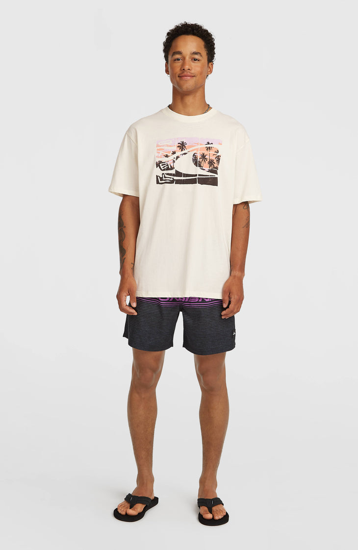 O'Neill Gradient T-Shirt | Snow White