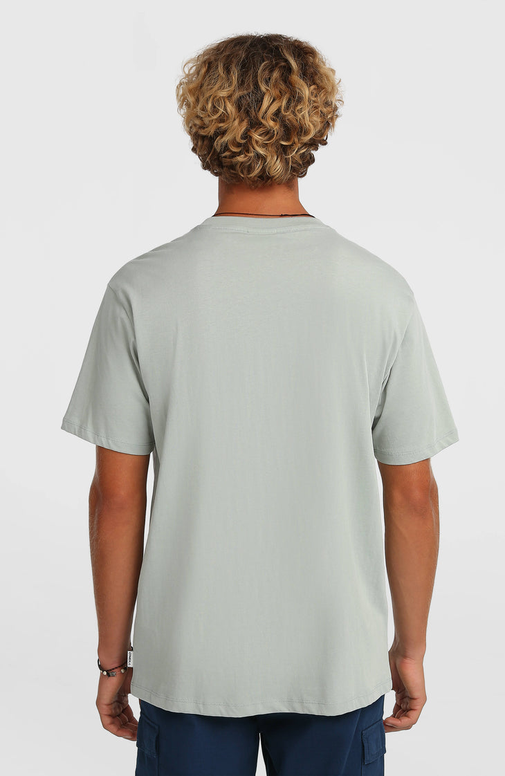 O'Neill Gradient T-Shirt | Marble Arch
