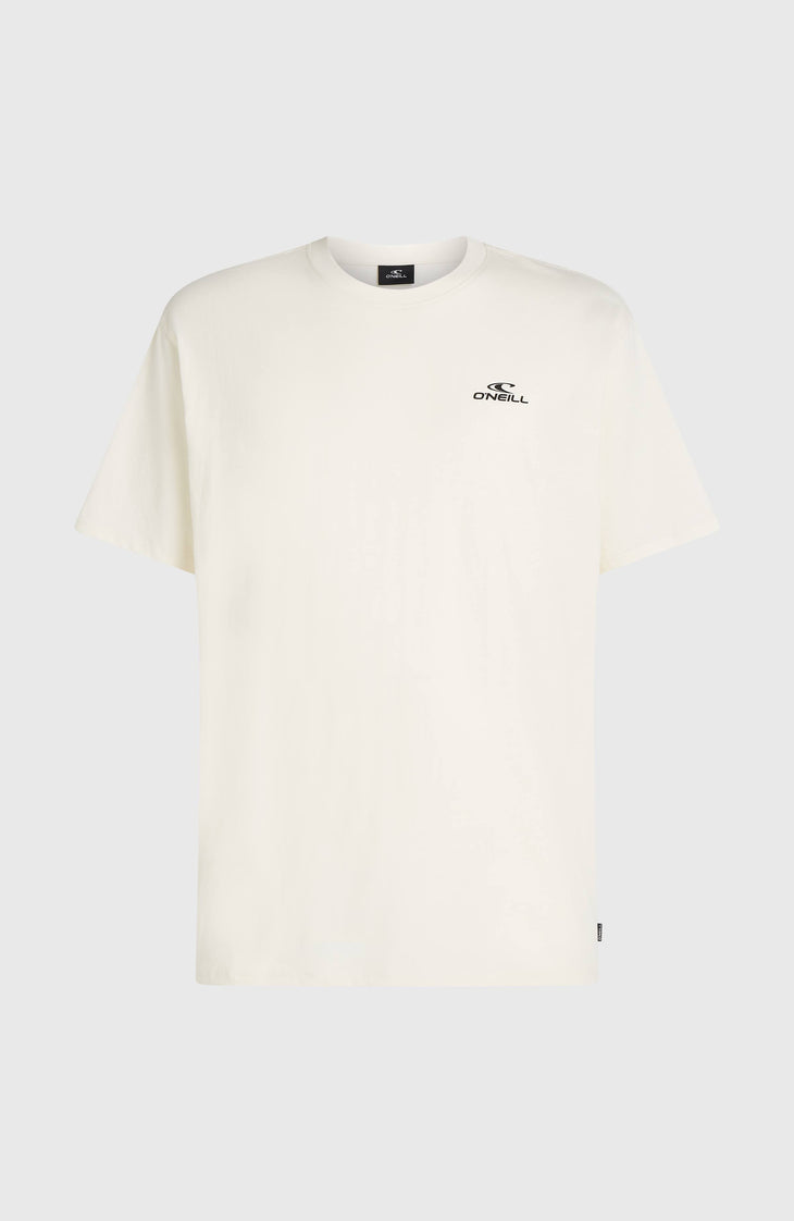 O'Neill Small Logo T-Shirt | Snow White