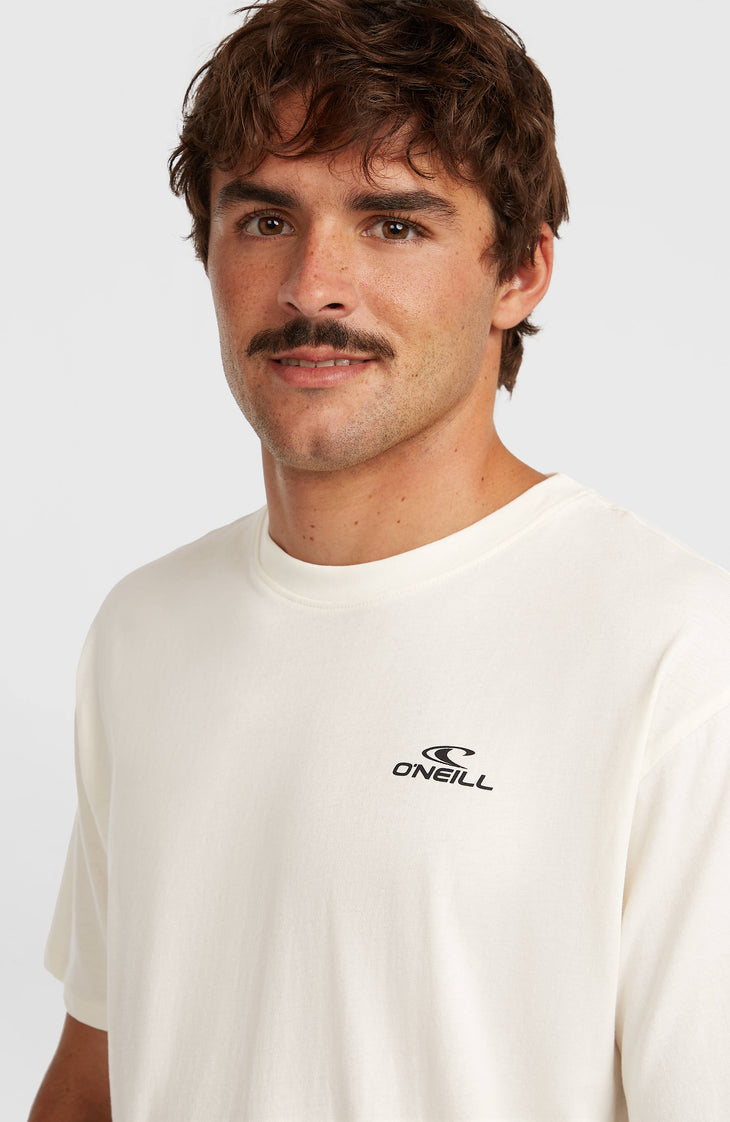 O'Neill Small Logo T-Shirt | Snow White